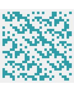 Configurable Product 127