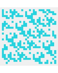 Configurable Product 243